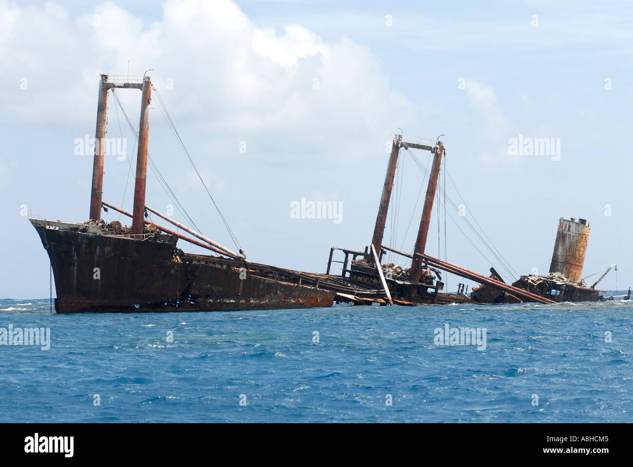 Polisini griechischen Wrack Kinsei Maru Silber Banken Marine Sanctuary Dominikanische Republik Karibik Stockfoto