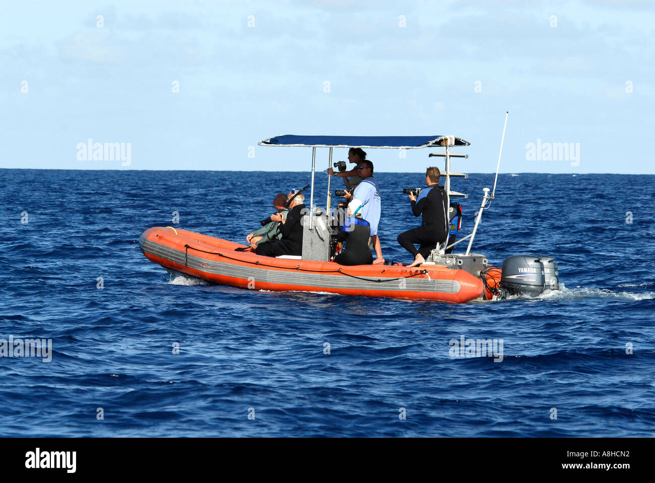 Touristen auf einem Zodiak Polisini griechischen Wrack Kinsei Maru Silver Banken Marine Sanctuary Dominikanische Republik Karibik Stockfoto