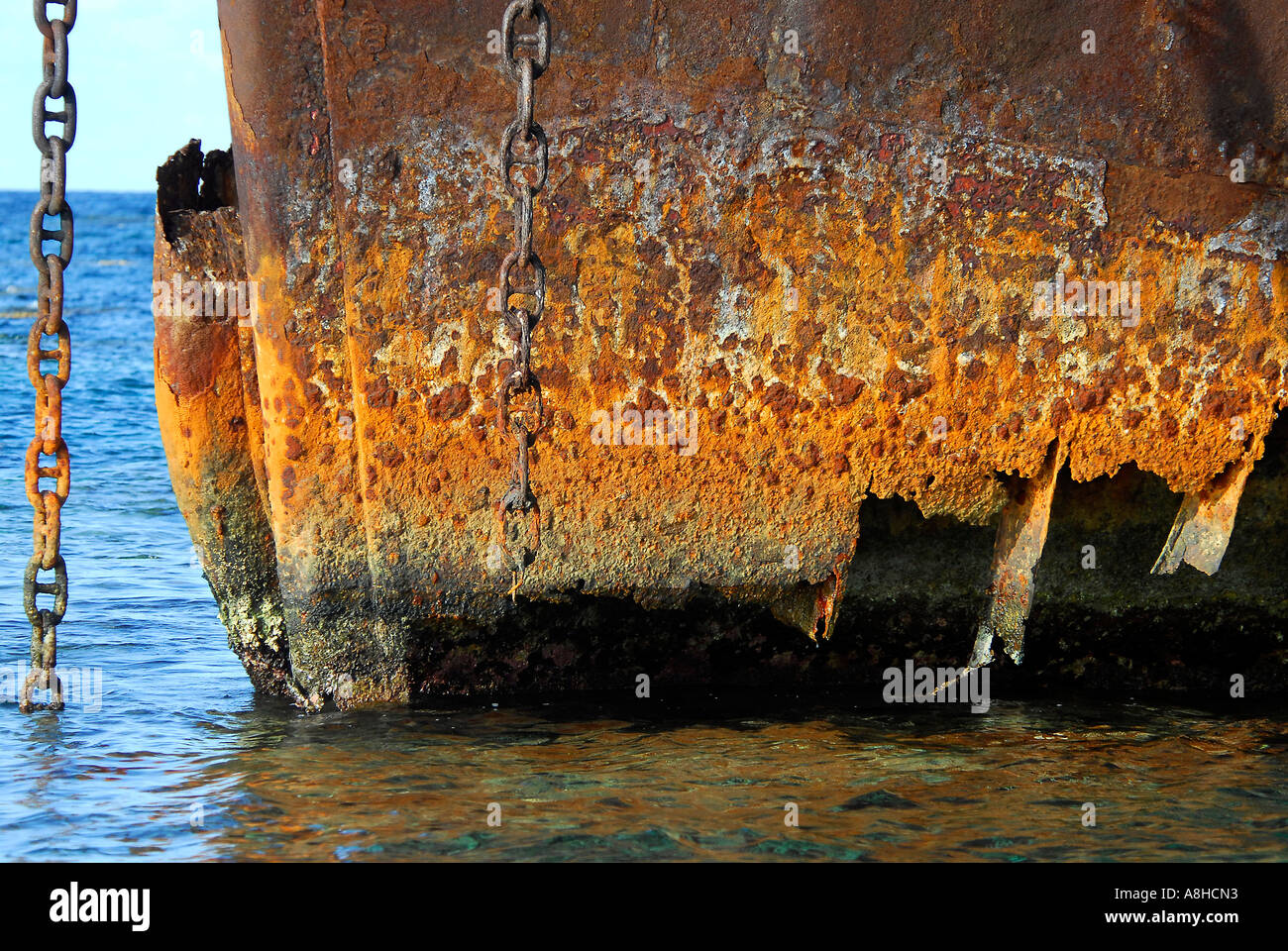 Polisini griechischen Wrack Kinsei Maru Silber Banken Marine Sanctuary Dominikanische Republik Karibik Stockfoto