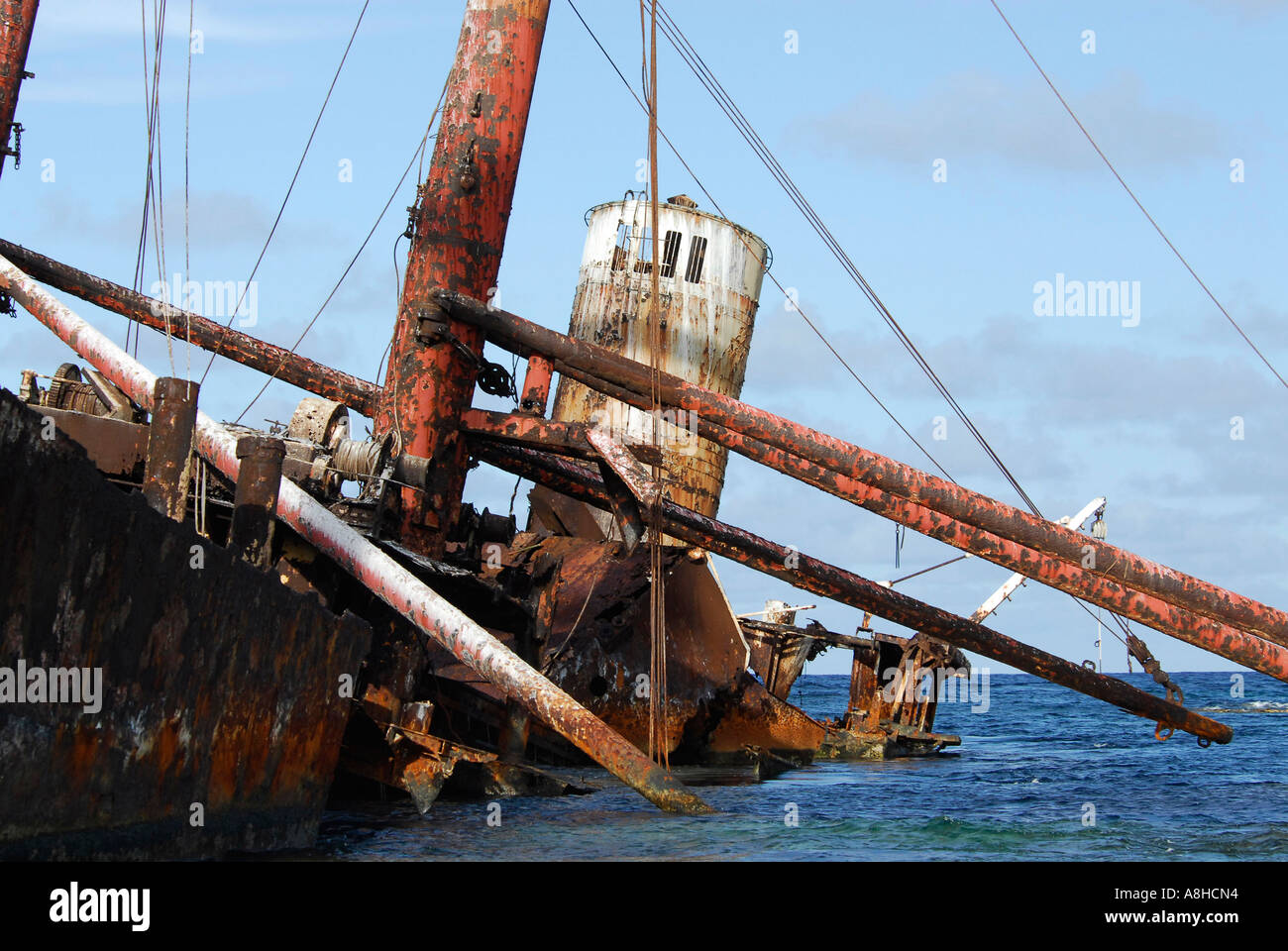 Polisini griechischen Wrack Kinsei Maru Silber Banken Marine Sanctuary Dominikanische Republik Karibik Stockfoto