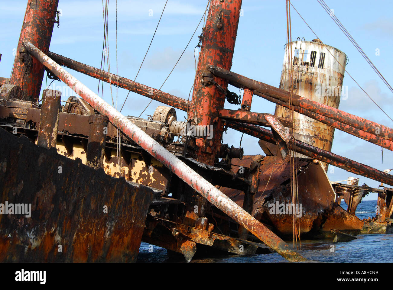 Polisini griechischen Wrack Kinsei Maru Silber Banken Marine Sanctuary Dominikanische Republik Karibik Stockfoto