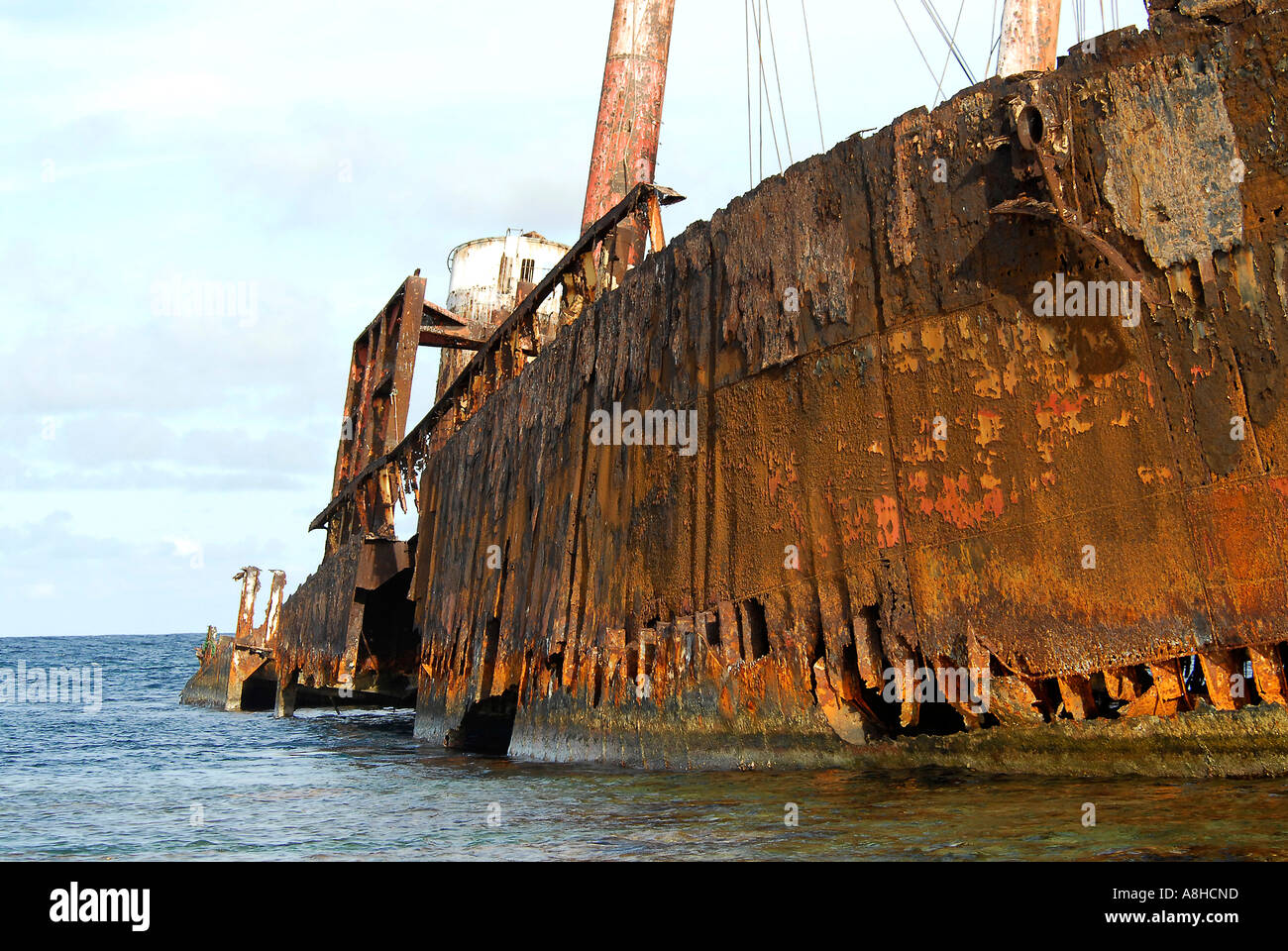 Polisini griechischen Wrack Kinsei Maru Silber Banken Marine Sanctuary Dominikanische Republik Karibik Stockfoto