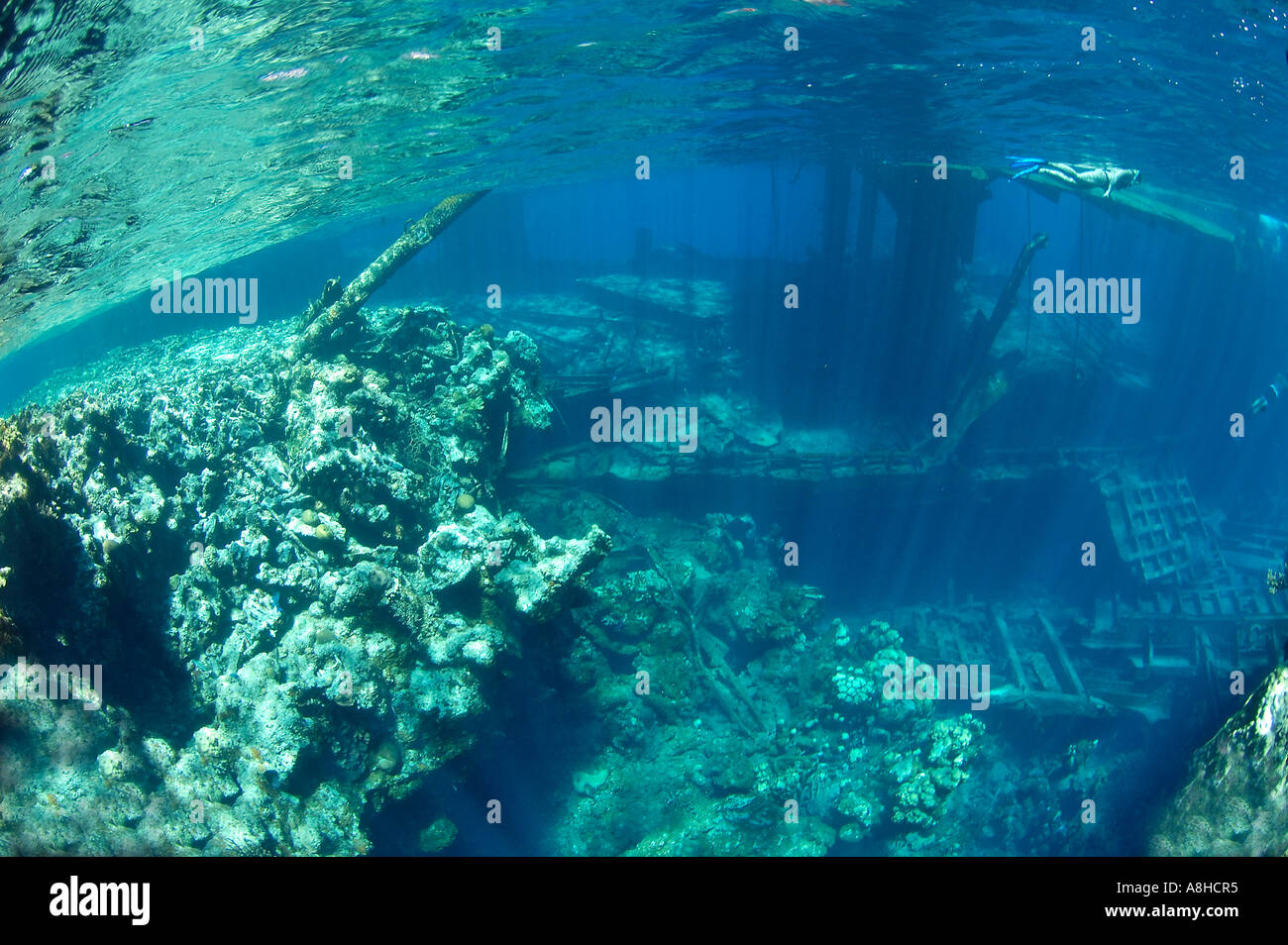 Korallenriff an der Polisini griechischen Wrack Kinsei Maru Silver Banken Marine Sanctuary Dominikanische Republik Karibik Stockfoto