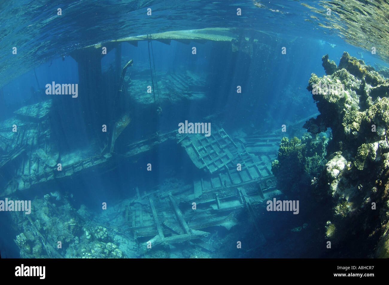 Korallenriff an der Polisini griechischen Wrack Kinsei Maru Silver Banken Marine Sanctuary Dominikanische Republik Karibik Stockfoto