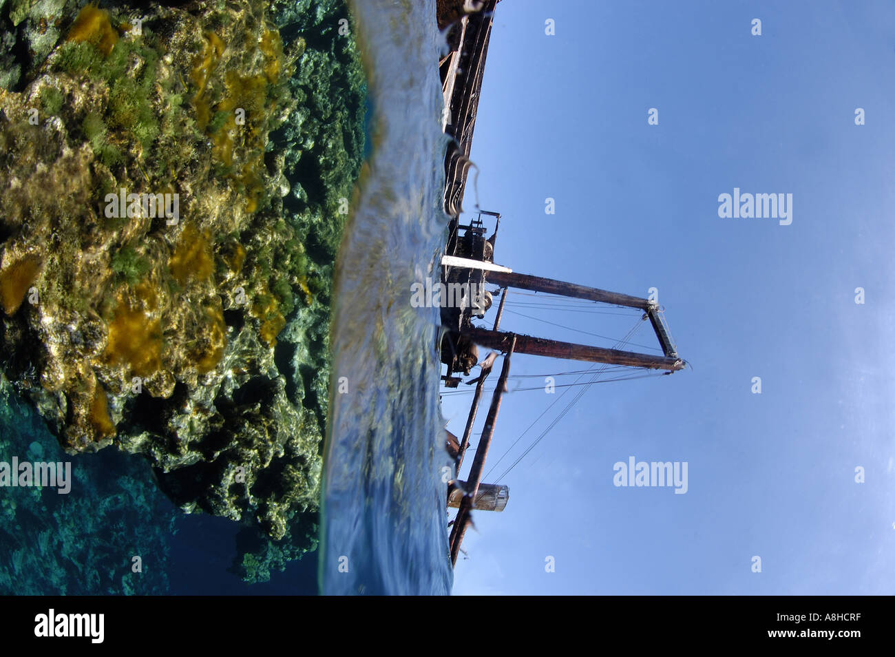 Korallenriff an der Polisini griechischen Wrack Kinsei Maru Silver Banken Marine Sanctuary Dominikanische Republik Karibik Stockfoto