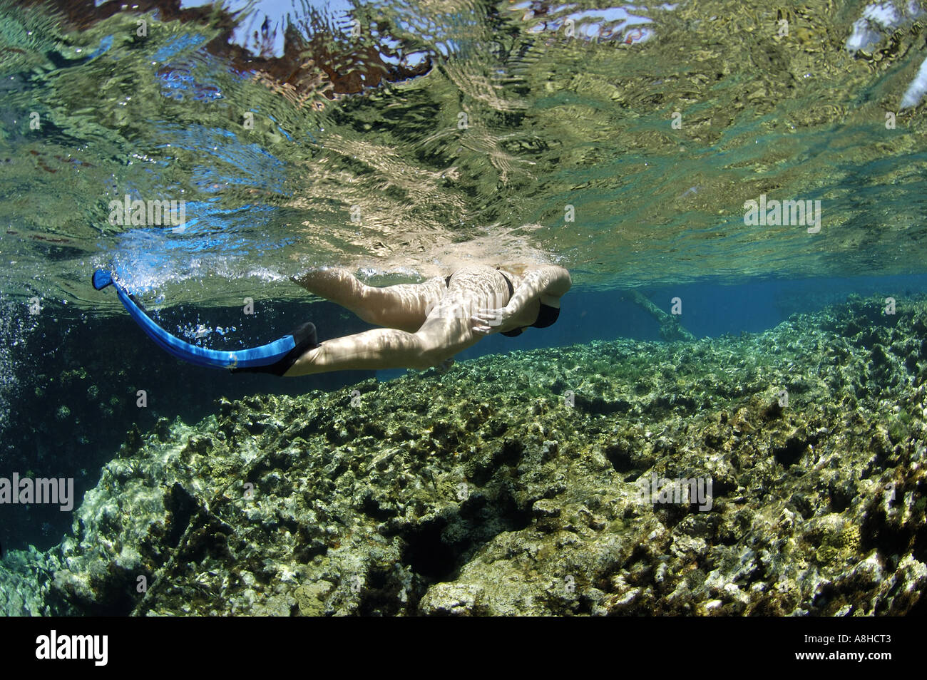 Schnorcheln an der Polisini griechischen Wrack Kinsei Maru Silber Banken Marine Sanctuary Dominikanische Republik Karibik Stockfoto