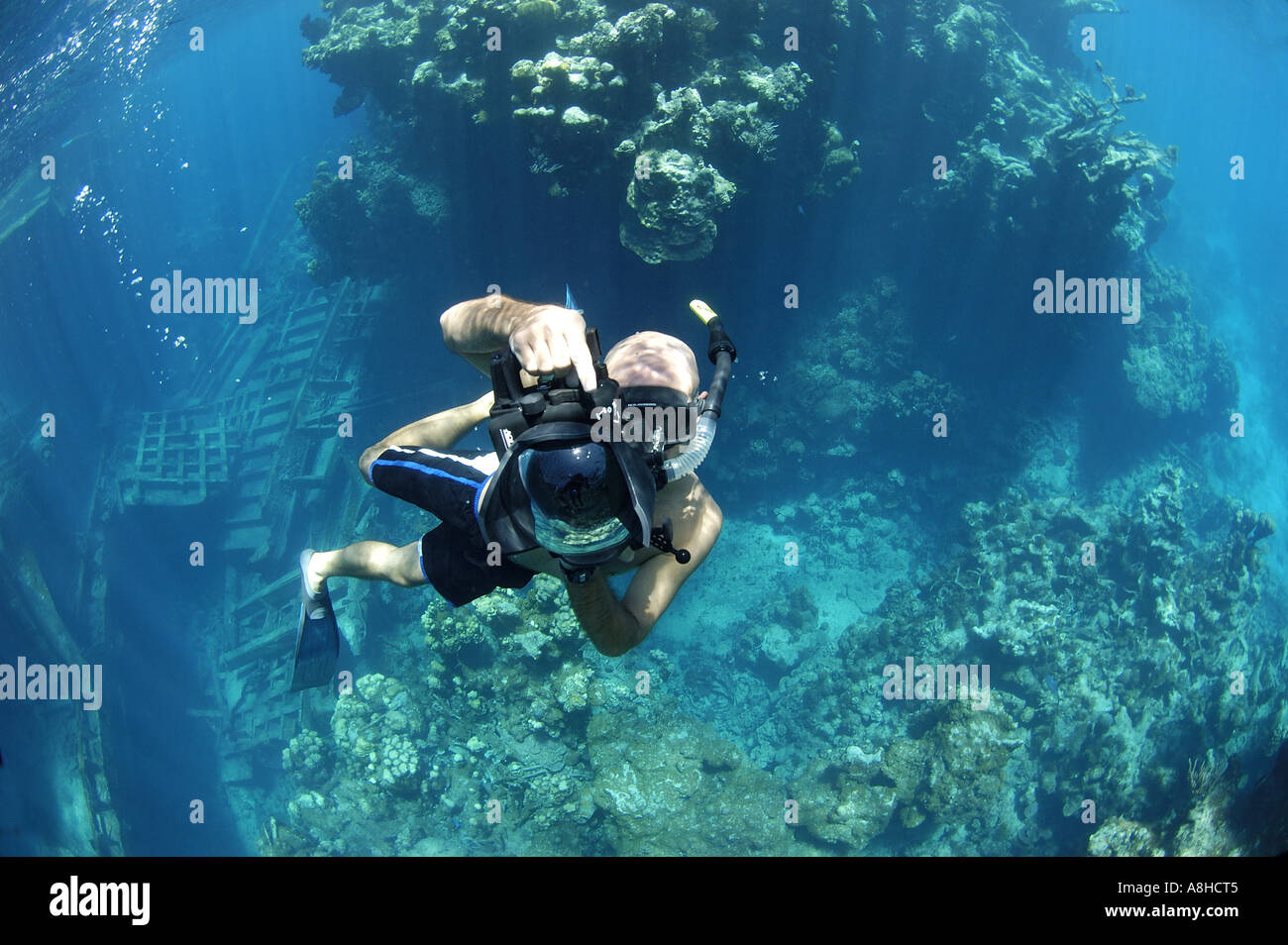 Schnorcheln an der Polisini griechischen Wrack Kinsei Maru Silber Banken Marine Sanctuary Dominikanische Republik Karibik Stockfoto