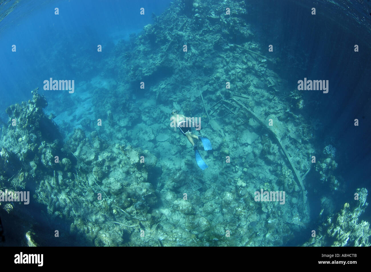 Schnorcheln an der Polisini griechischen Wrack Kinsei Maru Silber Banken Marine Sanctuary Dominikanische Republik Karibik Stockfoto