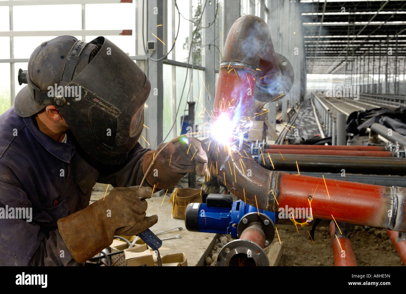 Schweißer-Männer bei der Arbeit in den Gewächshäusern auflegen ein Eisenrohr Westland Zuid Holland Stockfoto