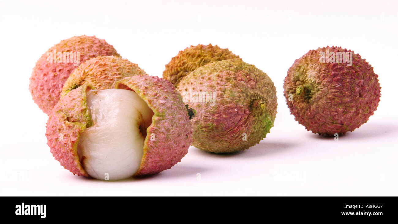 Litschi (Litchi Chinensis) Stockfoto