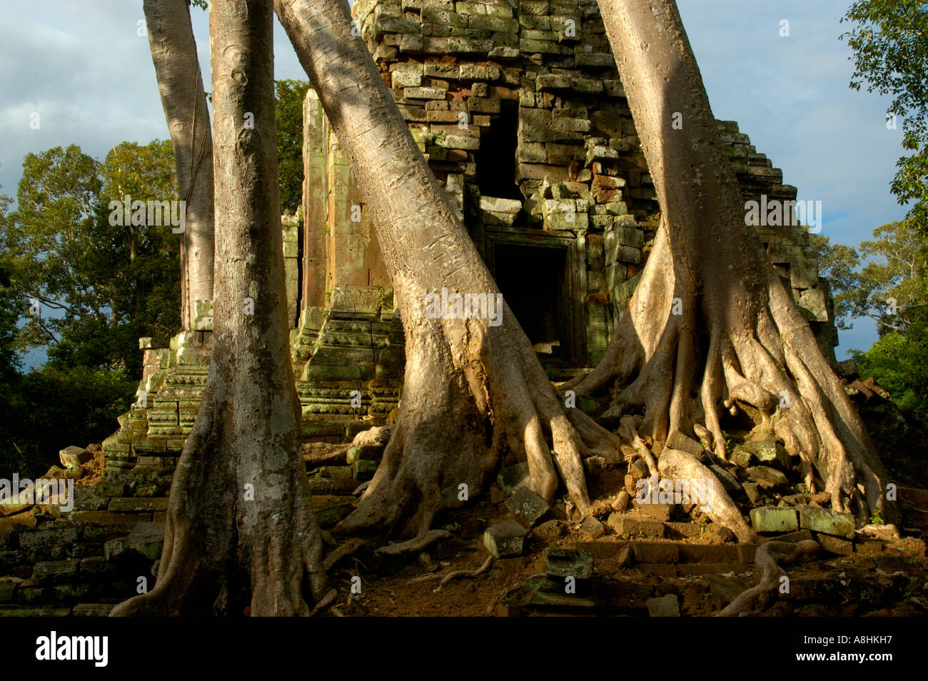 Khmer-Tempel Preah Palilay gewachsen in großen Bäumen Angkor Thom Siem Reap Kambodscha Stockfoto