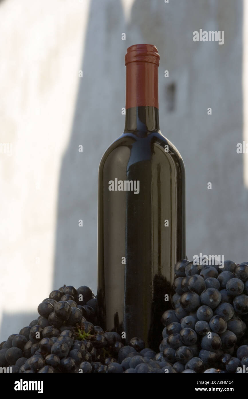 Flasche Wein ohne Label in Haufen von Trauben Stockfoto