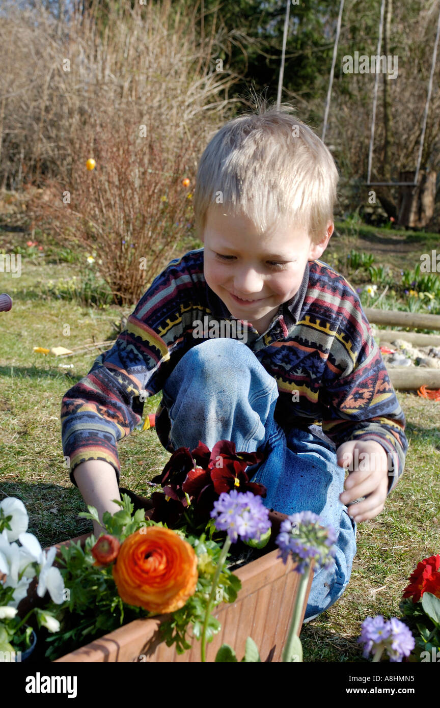 Sieben Jahre alter Junge Pflanzen Blumen im Frühjahr Stockfoto