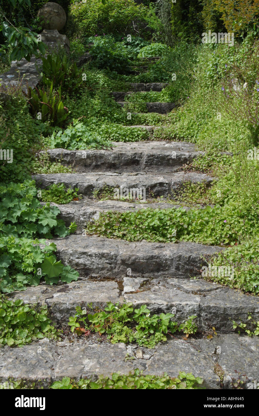 Verwilderten Garten Stein Treppe Stockfoto