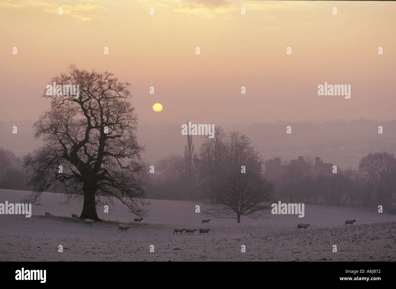 Sonnenaufgang über dem Bodiam Castle Winter East Sussex Stockfoto