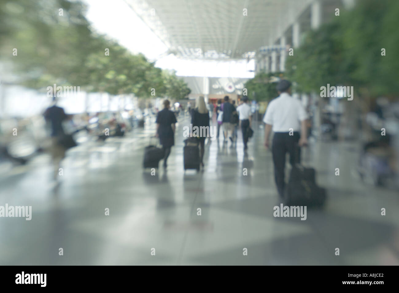Flugbesatzung mit rollenden Fällen Douglas International Airport Charlotte NC Stockfoto