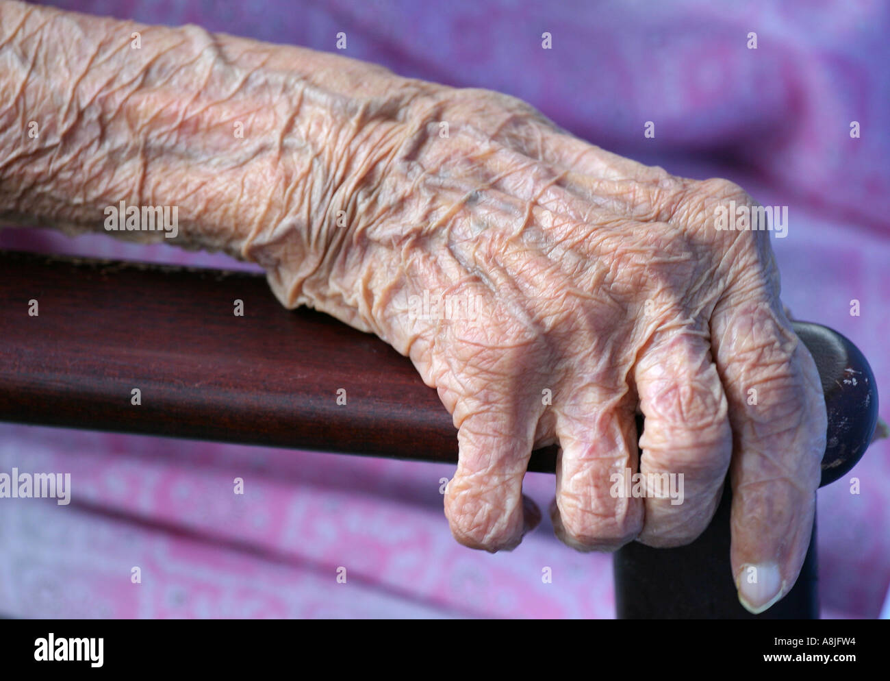 Die faltige Haut eine 94 jährige asiatische Dame in einem Pflegeheim für asiatische Senioren Aashna House, London, UK, April 2006. Stockfoto