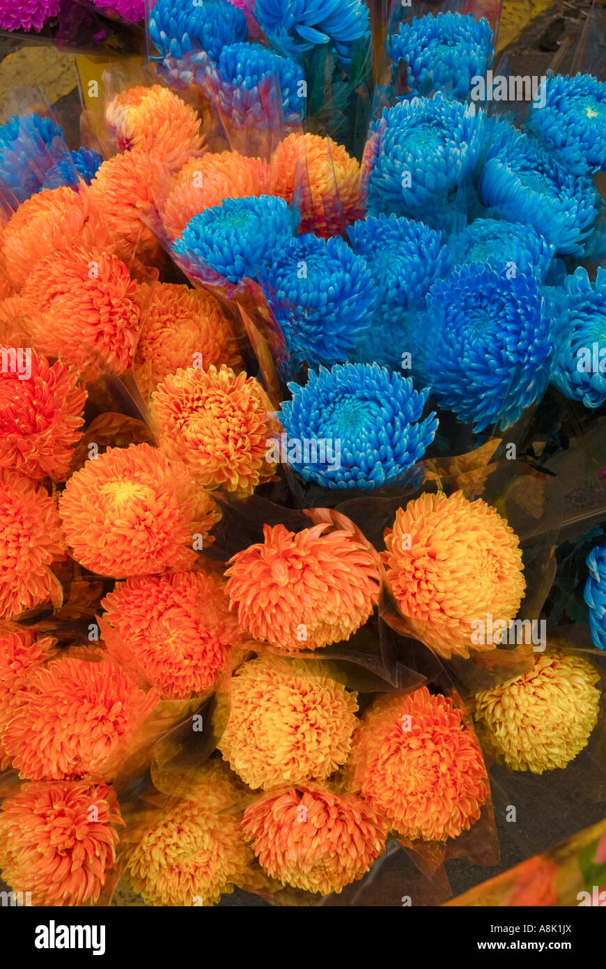Asien China Hong Kong Kowloon Mongkok Blumenmarkt Stockfoto
