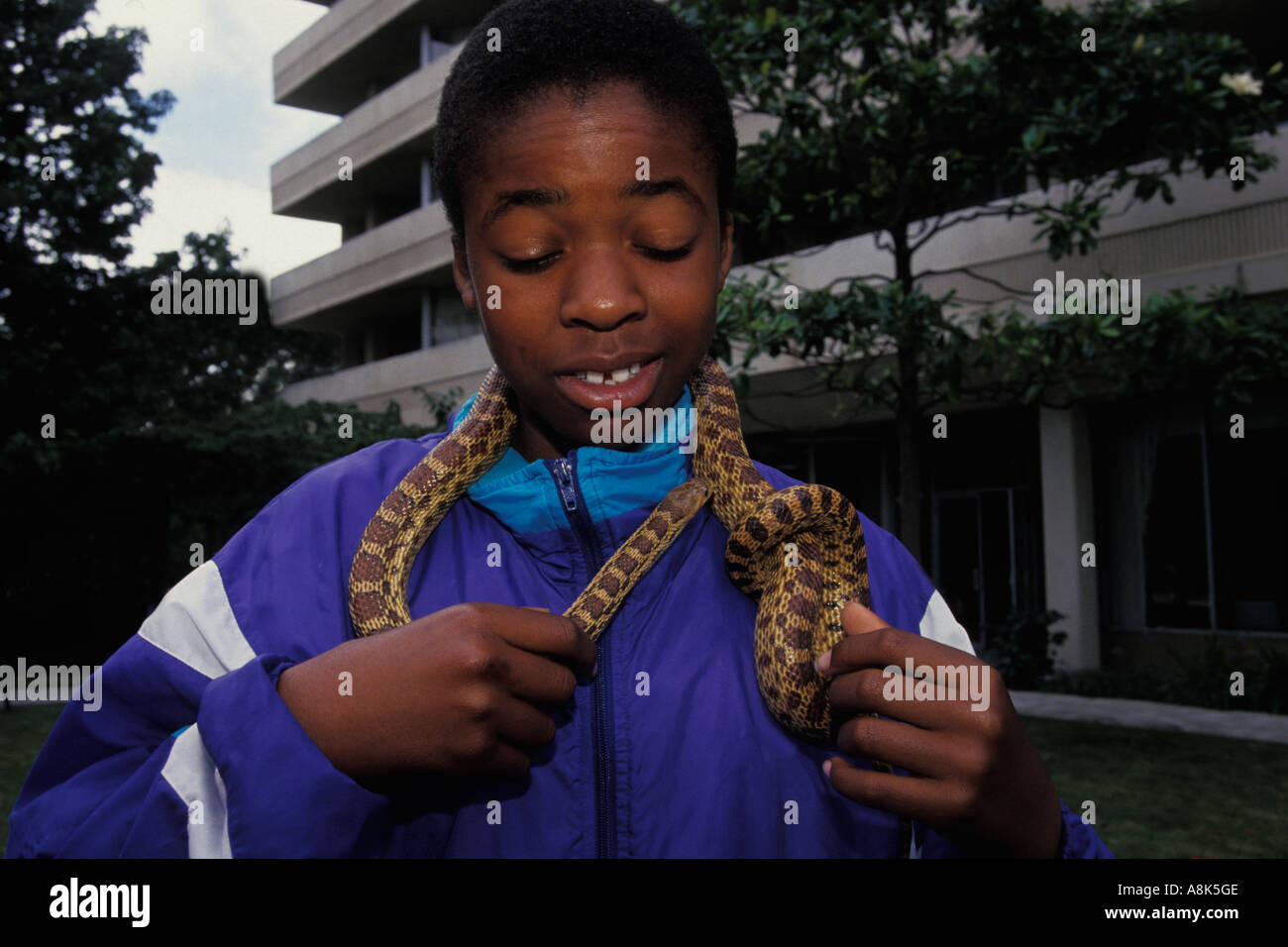 Oakland, California, Student volunteer, Zoo-Ausstellung im Altenheim Stockfoto