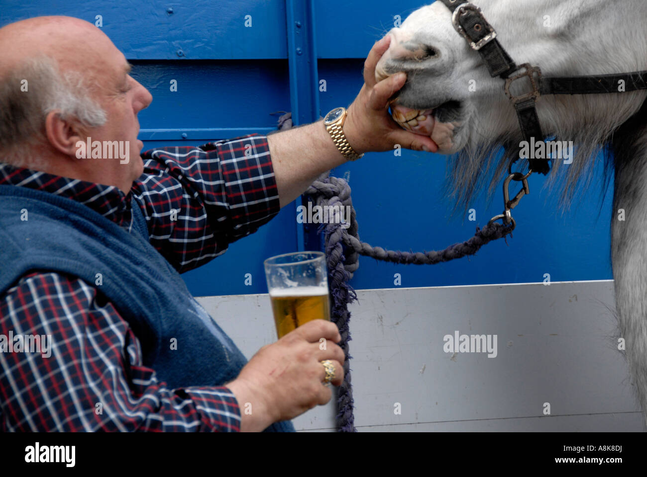 Pferdehändler versammelten Flanigan Arms Pub in Wandsworth South London zur jährlichen Feiertag trading Event. Stockfoto