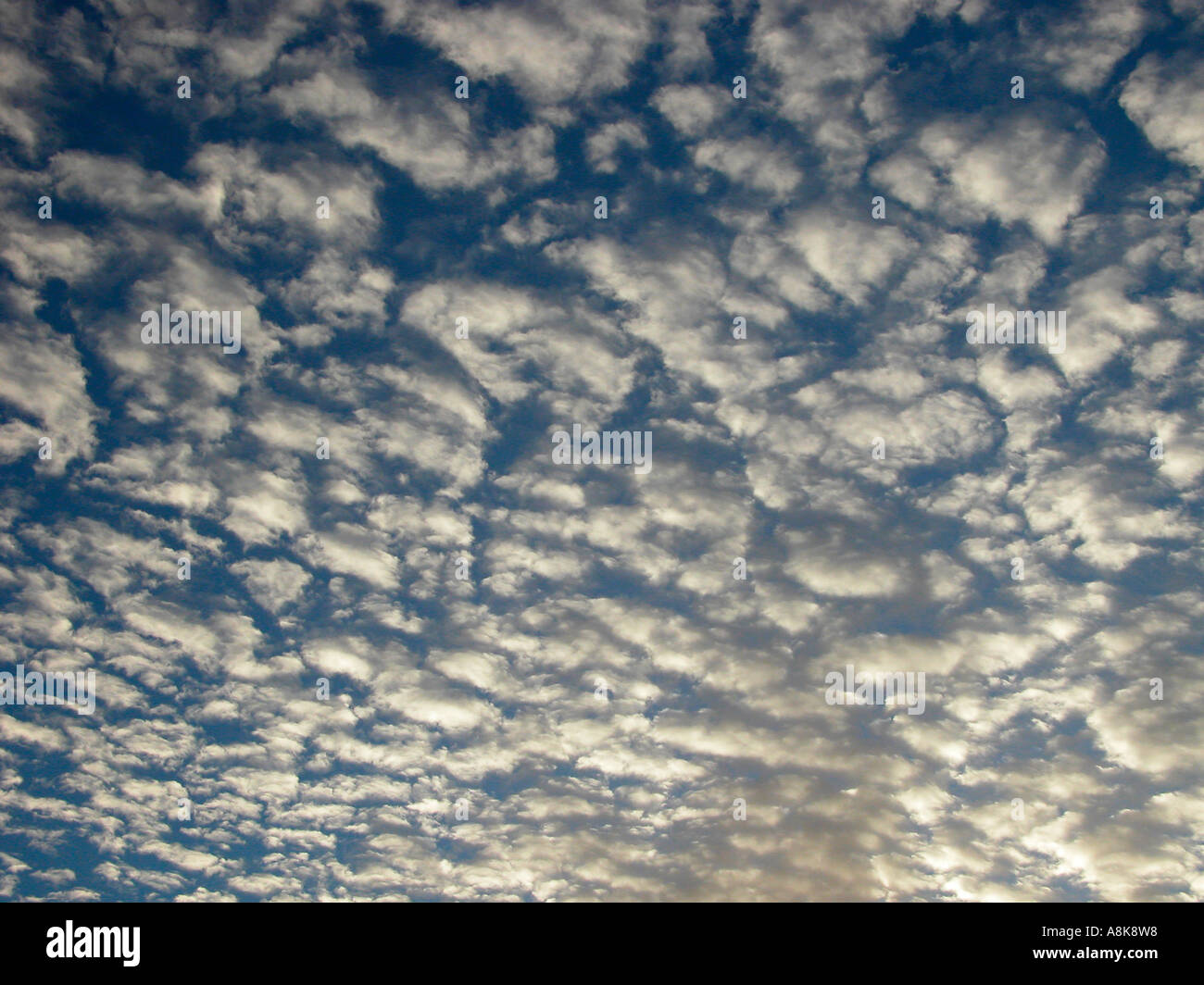 Altocumulus-Wolken über Helensburgh Dumbartonshire Schottland Stockfoto