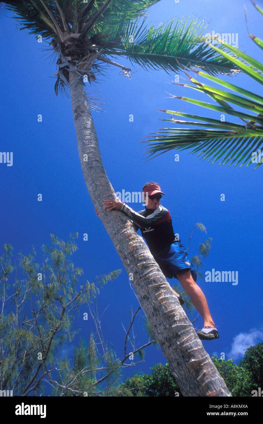 Frauen-Touristen Klettern Palme auf einer abgelegenen Insel in Tonga Stockfoto