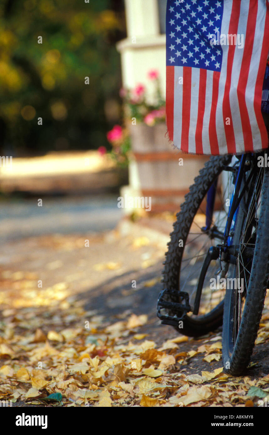 Kinderfahrrad mit einer Fahne an einem Herbsttag mit Blätter typisch americana Stockfoto