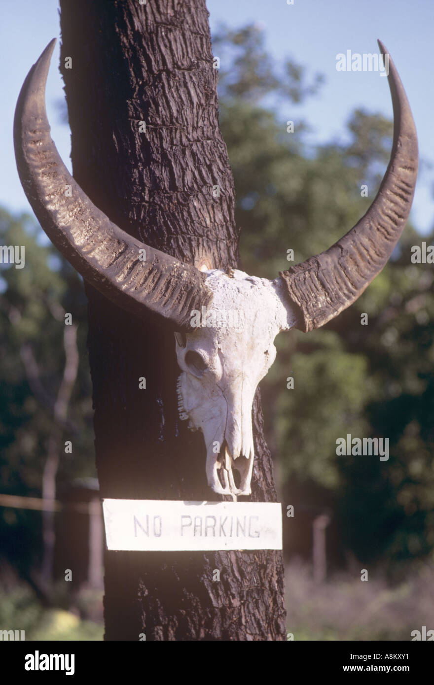 Kein Parkplatz-Schild mit Büffelhörnern, Northern Territory, Australien Stockfoto