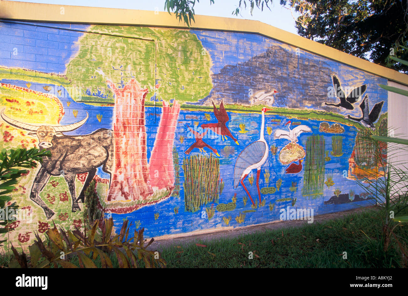 Wandbild Tiwi Inseln Australien Stockfoto