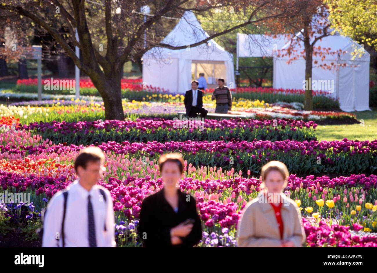 Floriade jährlichen Frühlingsfest Blumen und Garten Canberra Australian Capital Territory Australien horizontale Stockfoto
