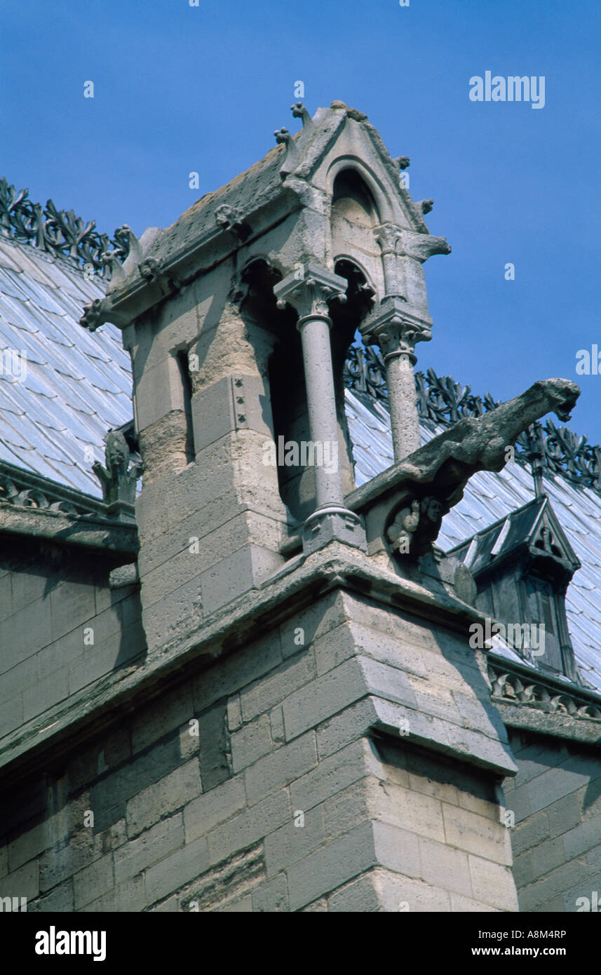 Paris-Frankreich-Notre-Dame-Wasserspeier Stockfoto