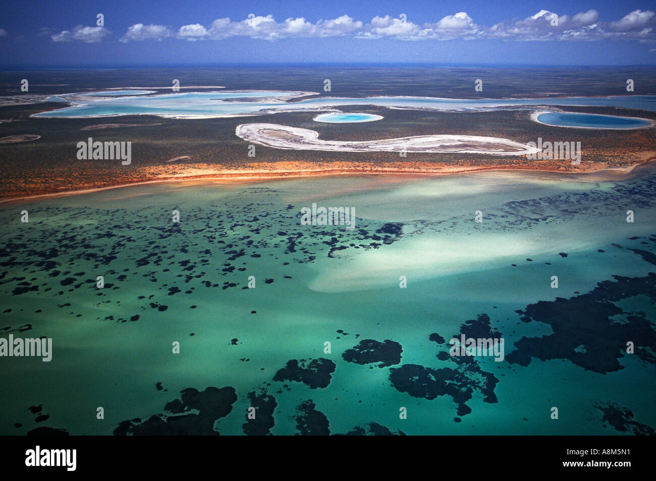 Denham Sound, Shark Bay Marine Park, Frances Peron Nationalpark, Western Australia, Australia Stockfoto