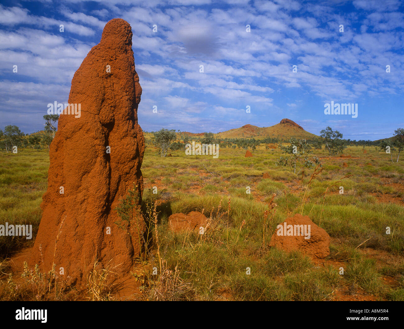 Termite tower Fotos und Bildmaterial in hoher Auflösung Alamy