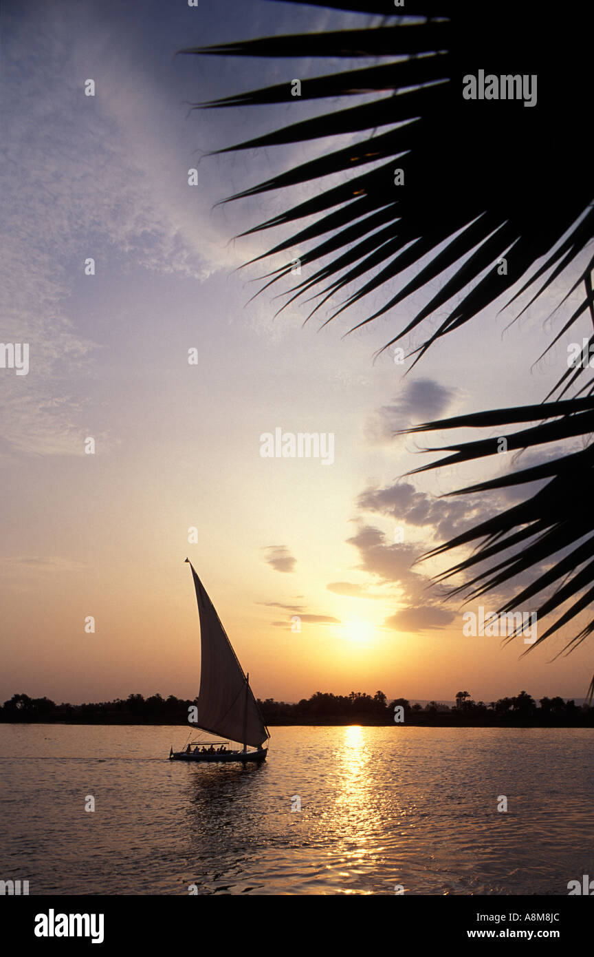 Nil und Feluke, Ägypten Stockfoto