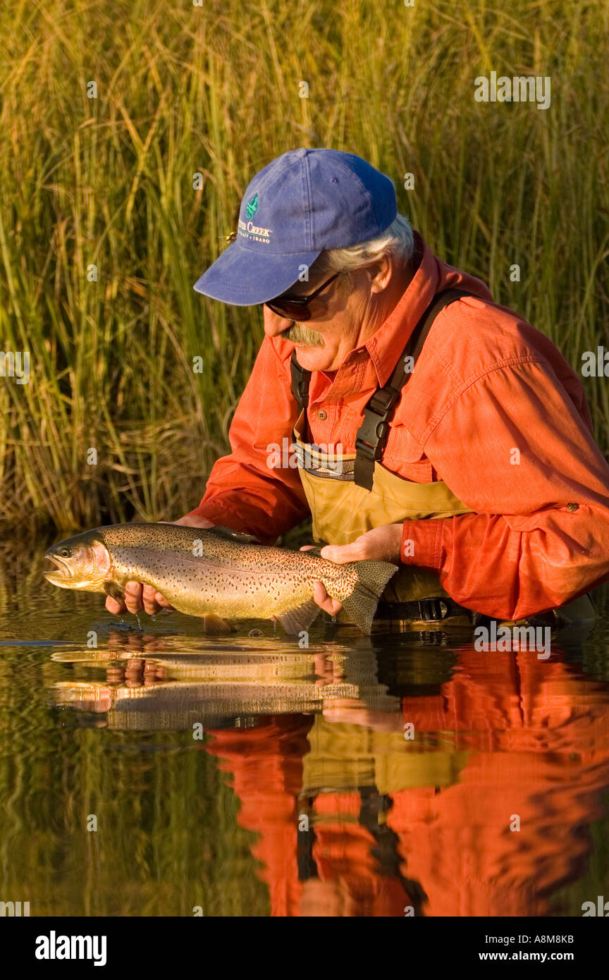 IDAHO SWAN VALLEY östlichen ID Fly Fisherman Freigabe Regenbogenforellen ab Frühjahr gefüttert Creek Herr Stockfoto