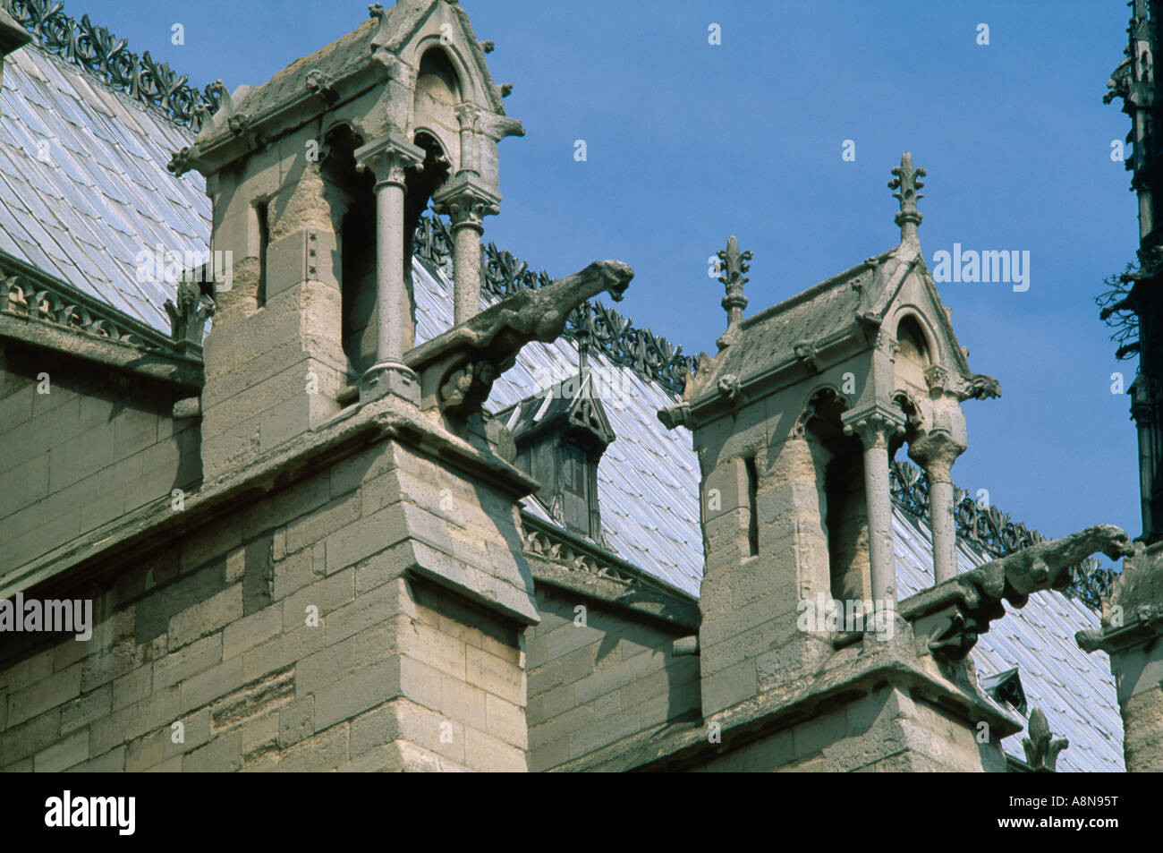 Paris Frankreich Notre-Dame Kathedrale Gargoyles Rainspouts Stockfoto