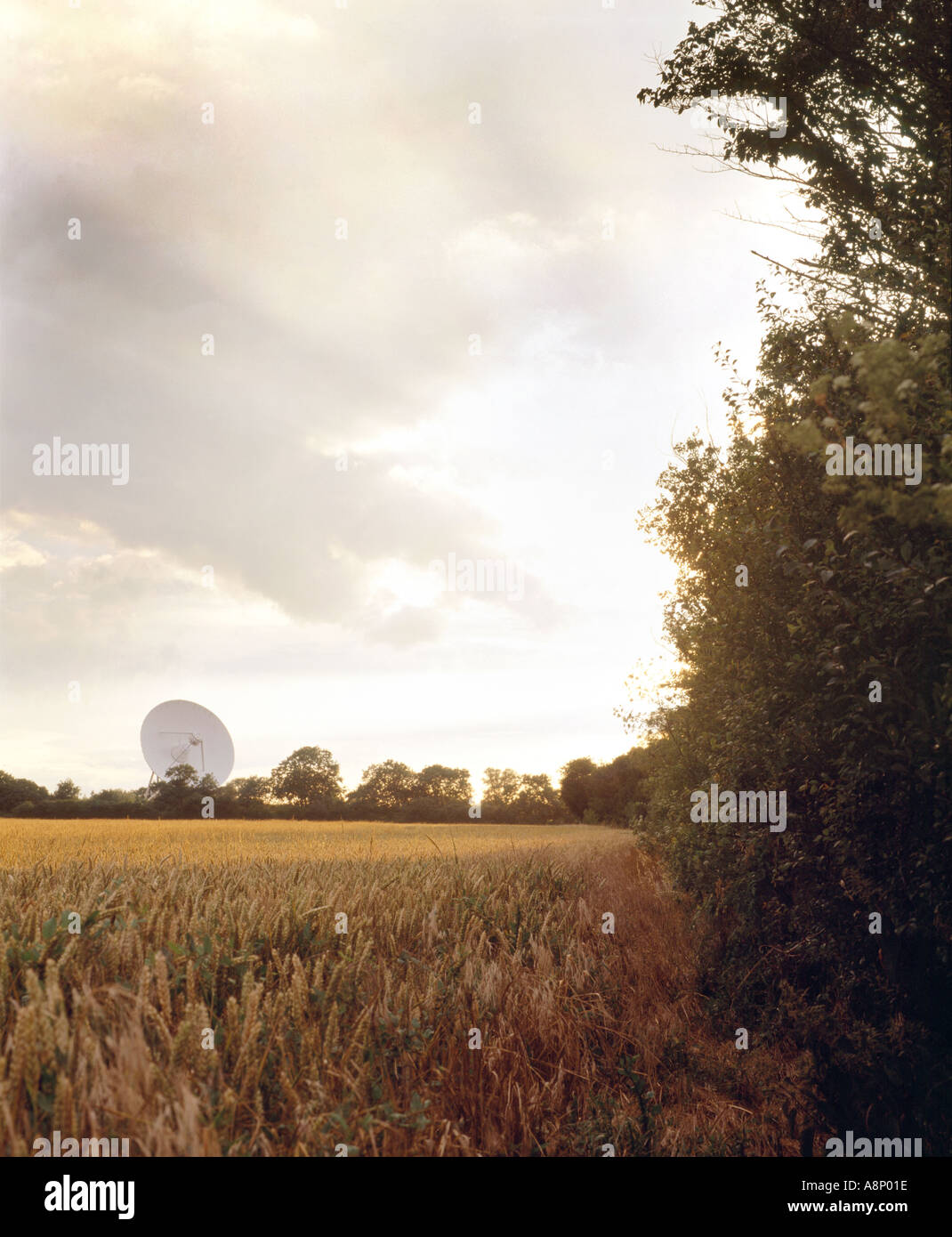 E-merlin Empfänger Radio Astronomy Observatory Radio Telescope Cambridge Stockfoto