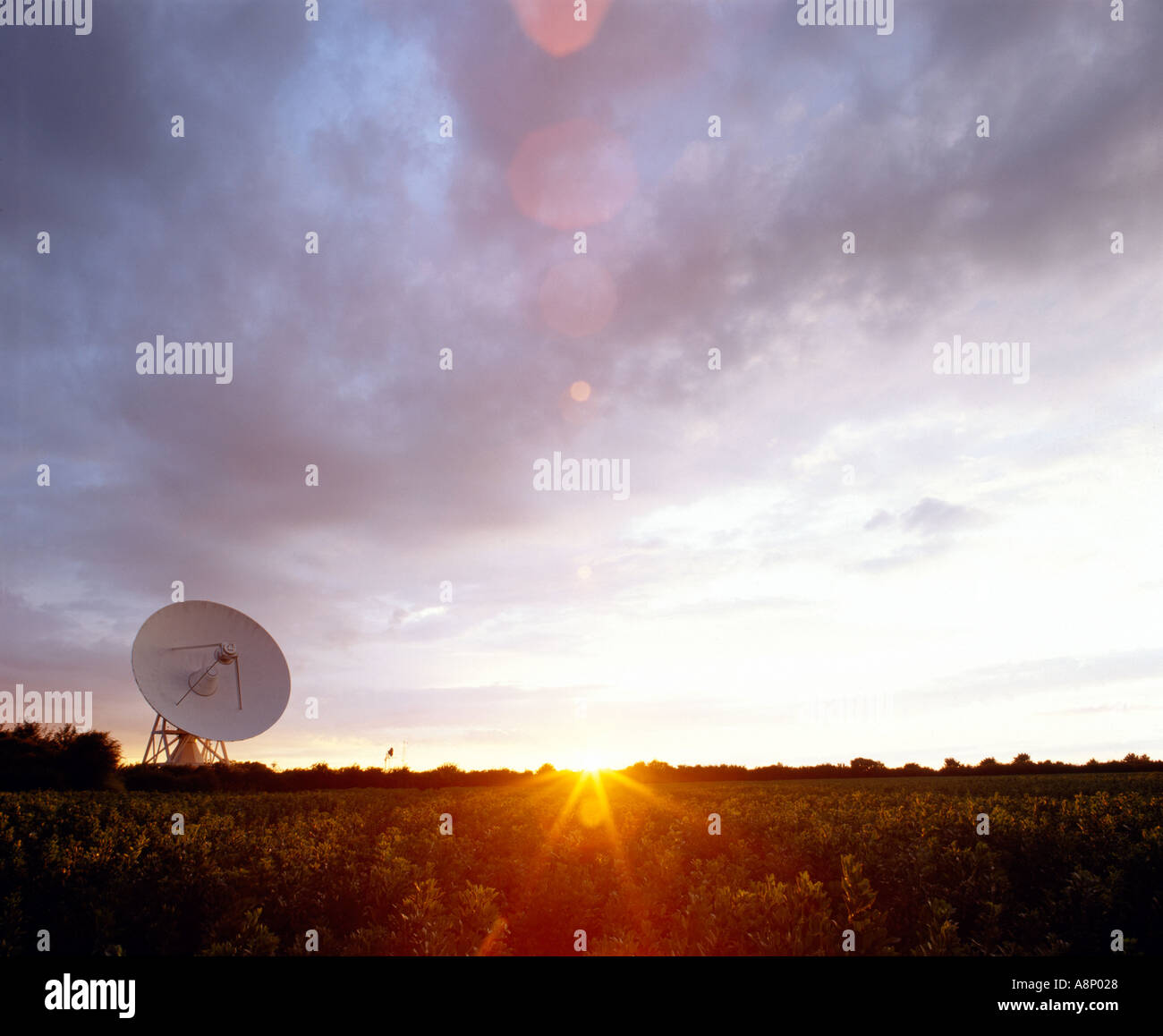 Die elektromagnetische Antenne eMerlin Cambridge, Cambridge, Großbritannien Stockfoto