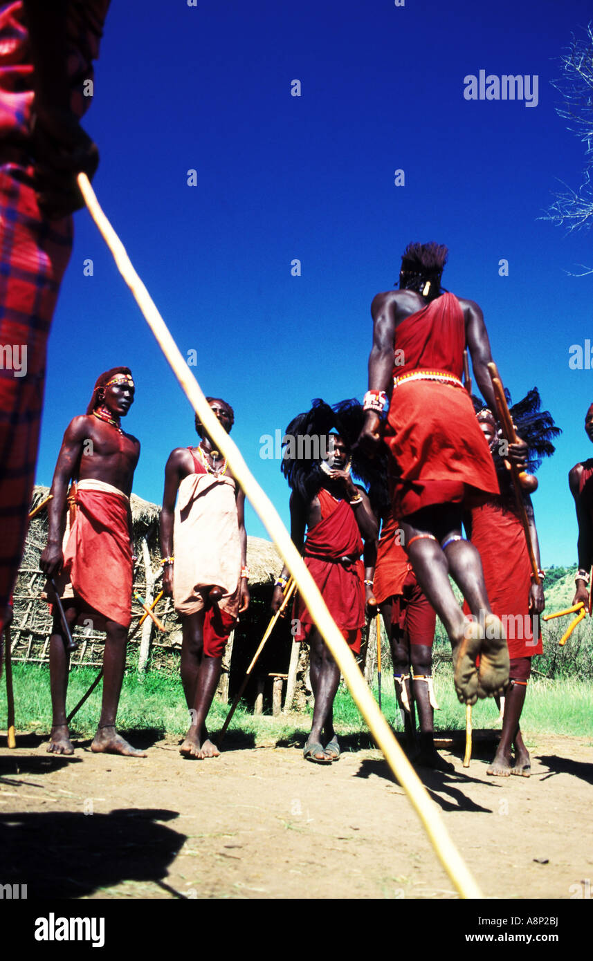 Massai-Krieger tun Sprung Tanz, Masai Mara, Kenia Stockfoto