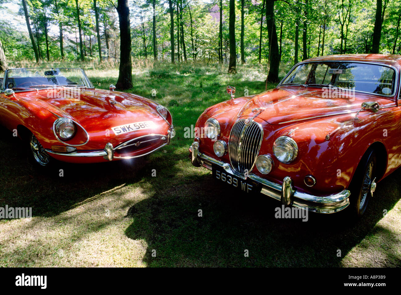 Jaguar E-Typ Serie 1 Jaguar Mk 2 1964 Oldtimer Stockfoto