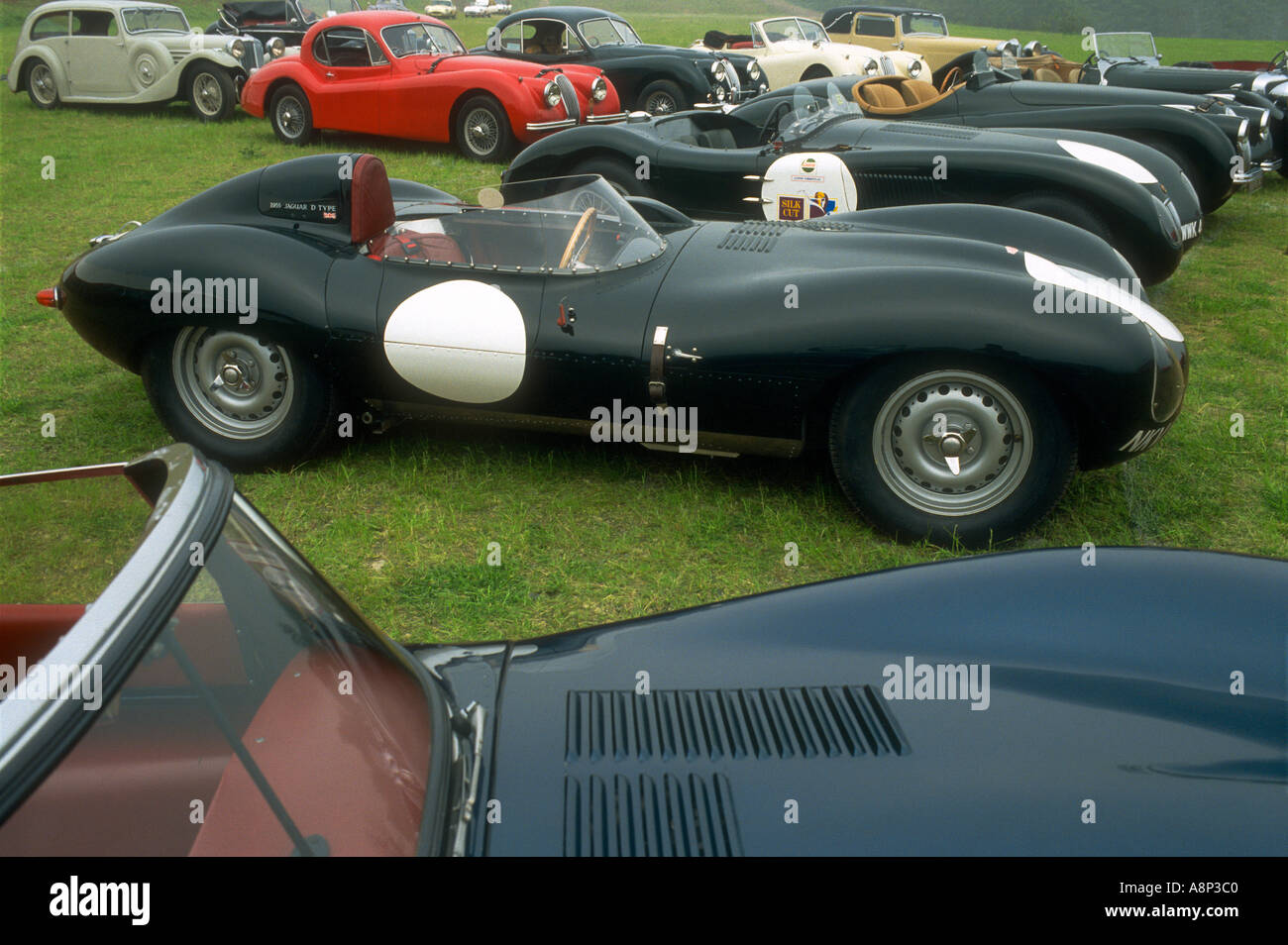 Jaguar Classic Sportwagen Stockfoto