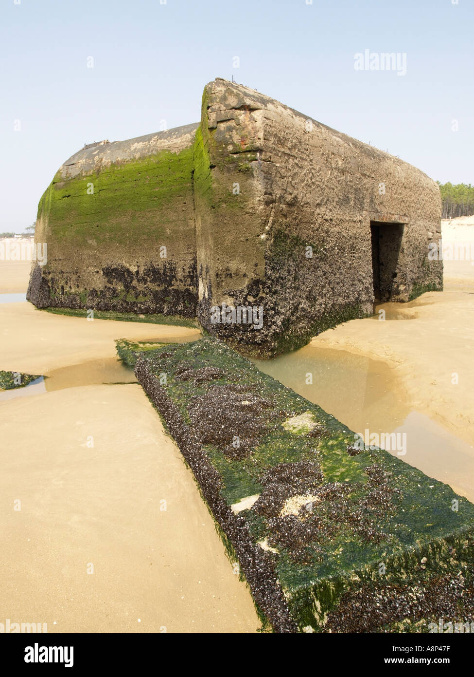Deutsche ww2 Bunker am Strand von la Palmyre Frankreich nahe der Mündung des Flusses Gironde gebaut Stockfoto