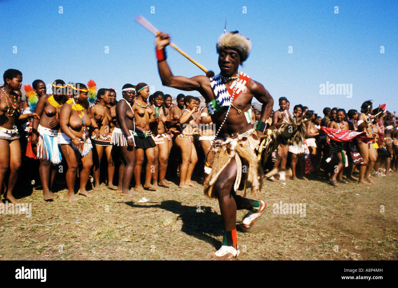 Zulu Reed Dance zeremonielle Teilnehmer, natal, Südafrika Stockfoto