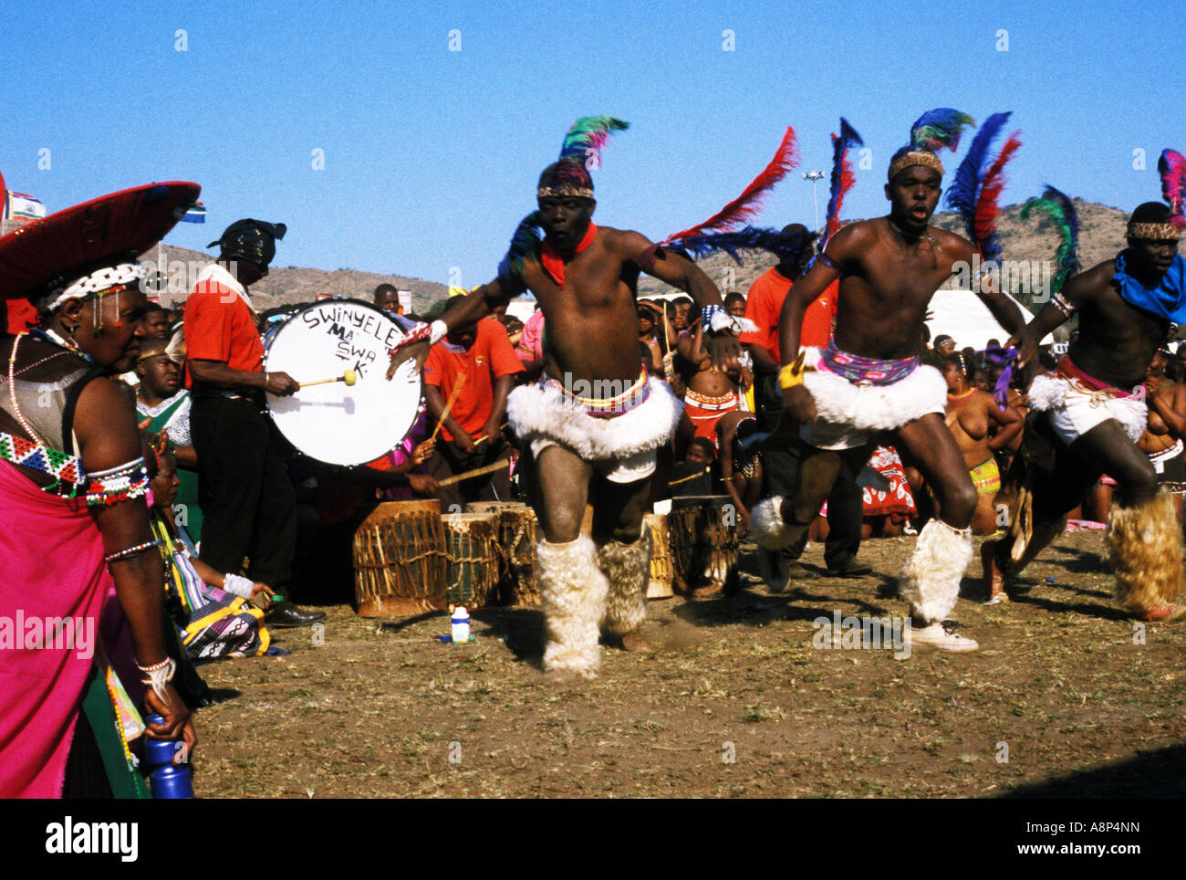 Zulu Reed Dance zeremonielle Teilnehmer, natal, Südafrika Stockfoto