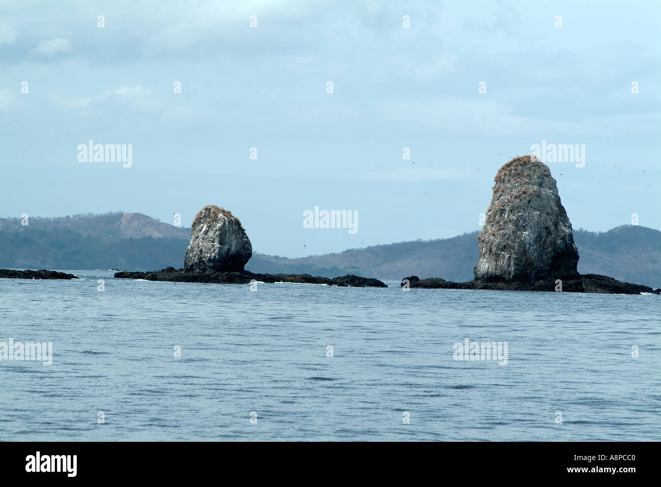 Felsen in den Catalina Inseln aus Costa Rica Stockfoto
