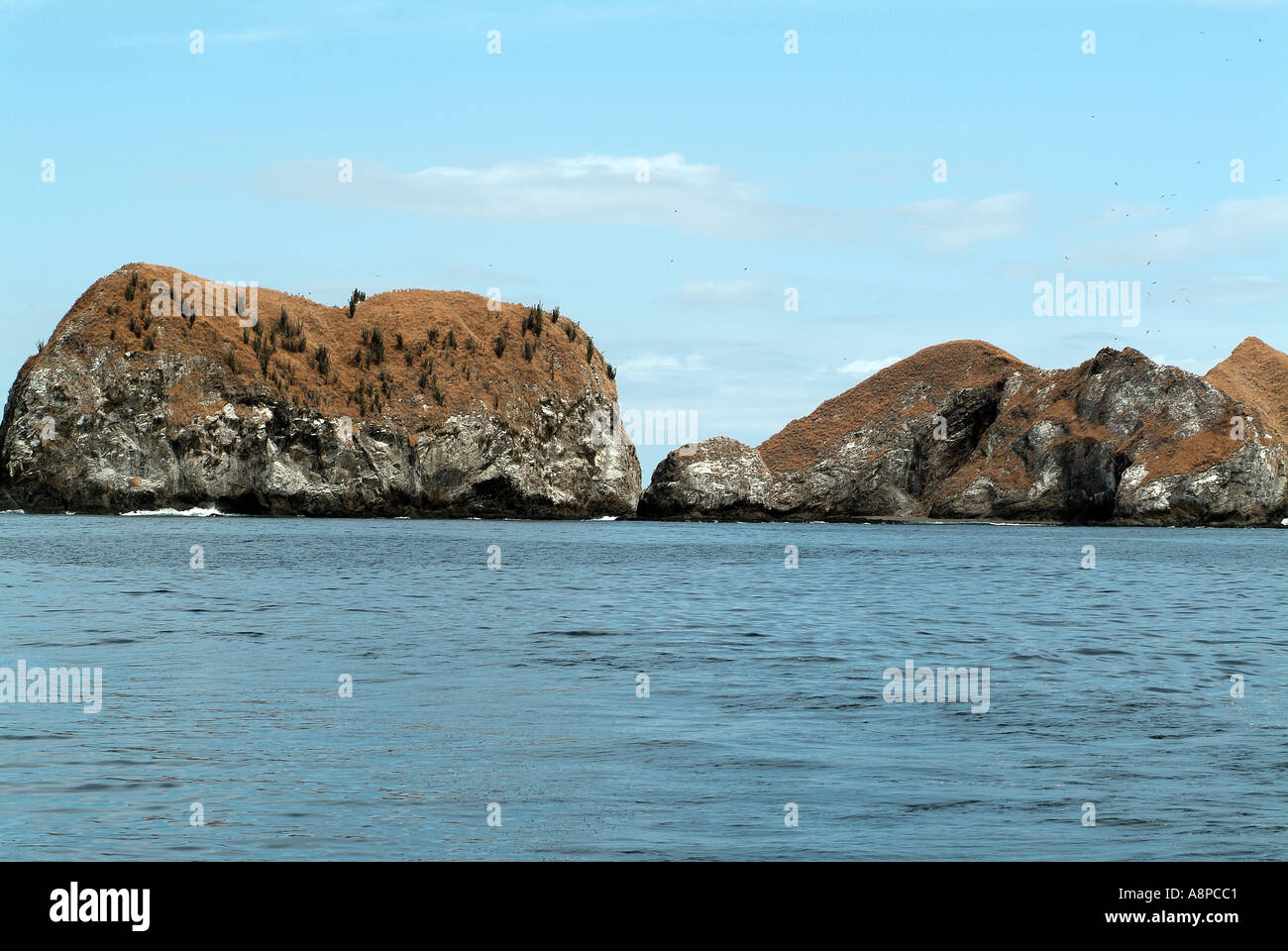 Felsen in den Catalina Inseln aus Costa Rica Stockfoto