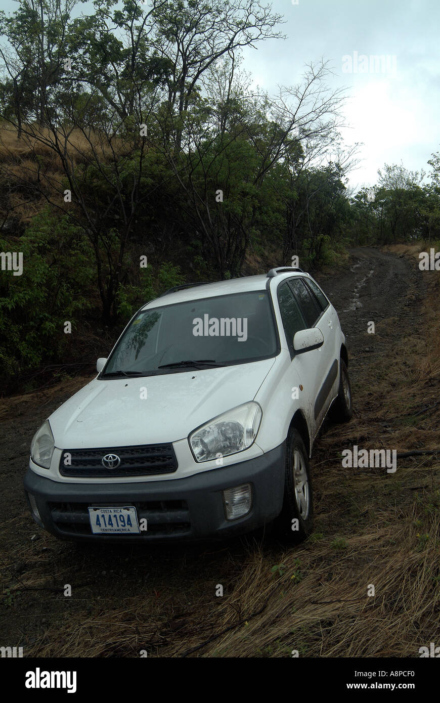 Weißes Auto geparkt im Regenwald, Costa Rica Stockfoto