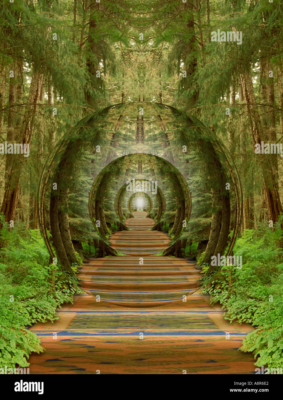 Lange Wald Flur abstrakt Stockfotografie - Alamy