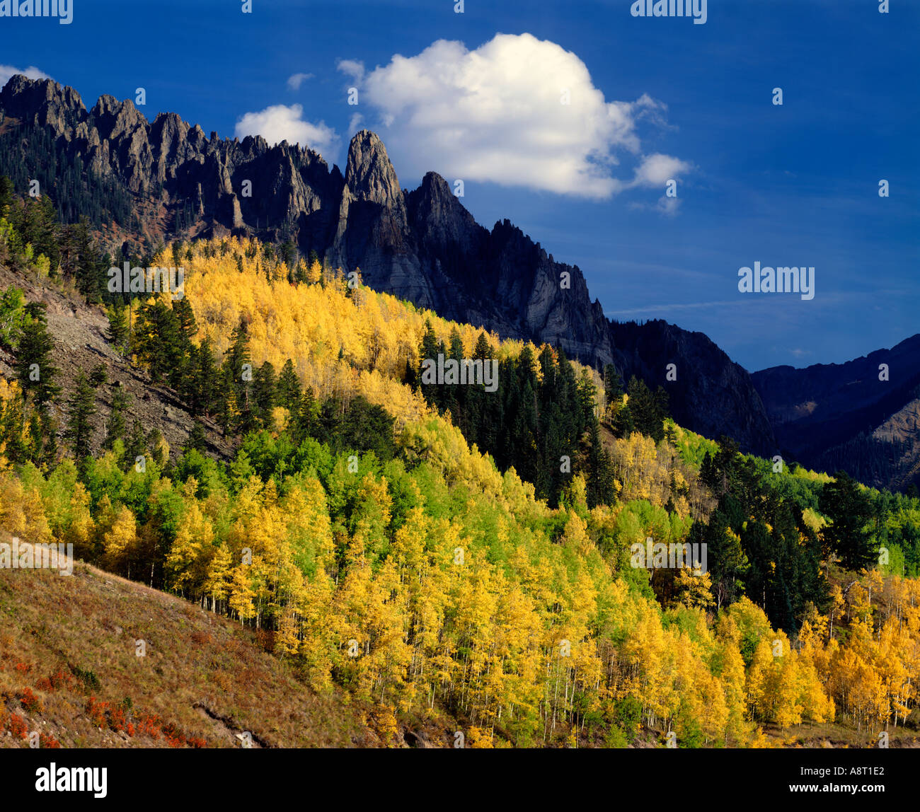 Ophir Nadeln Felsformationen mit Herbstfarben in der Nähe von Telluride in den südwestlichen Colorado Bergen Stockfoto