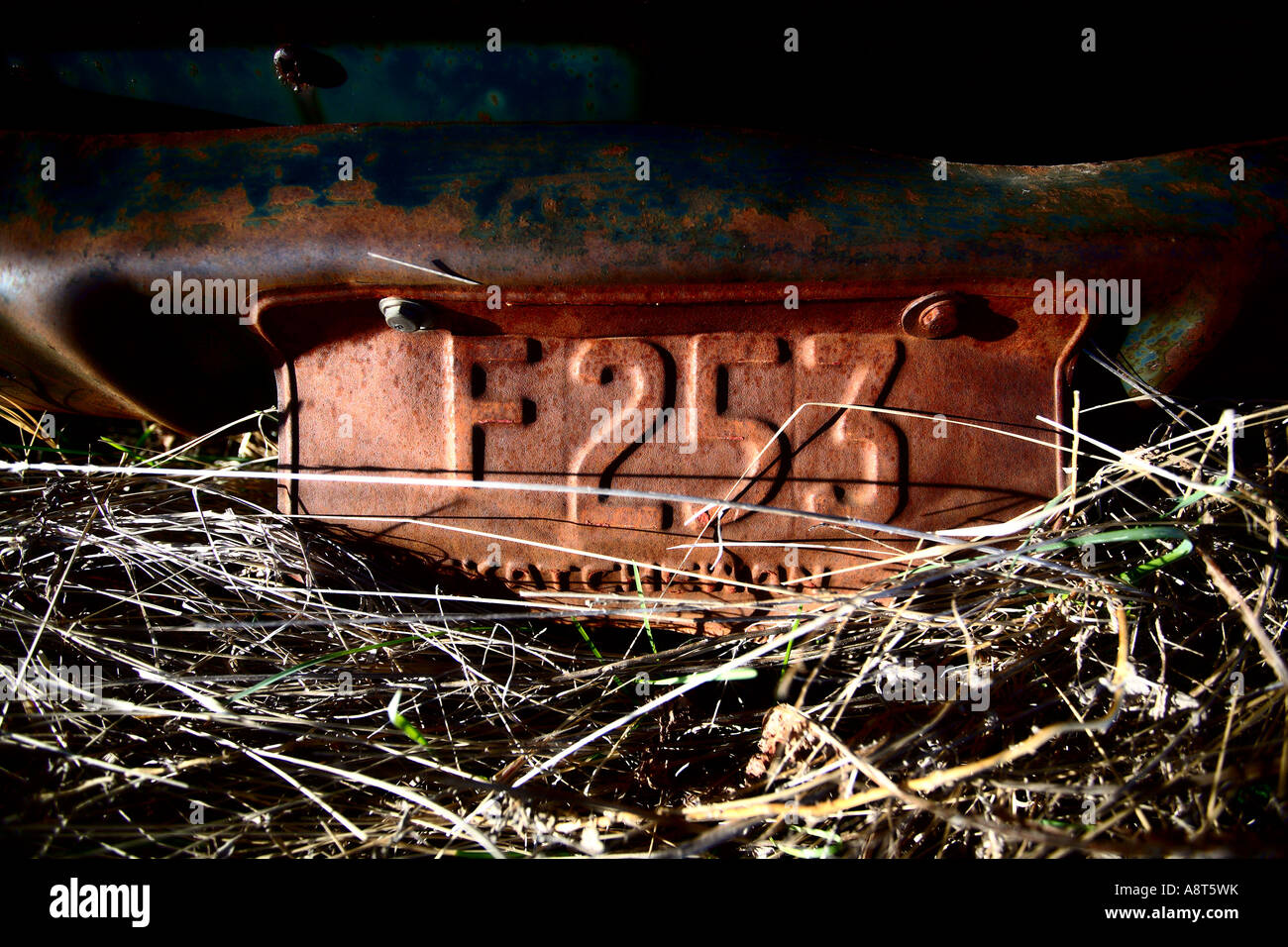 Kfz-Kennzeichen auf verlassenen antikes Automobil Stockfoto